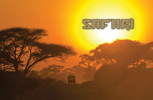 safari - Associated Television